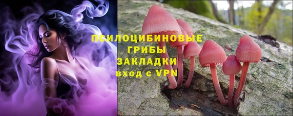 a pvp Верея