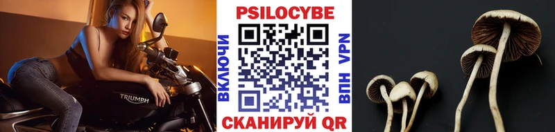 Галлюциногенные грибы мицелий  Лихославль 