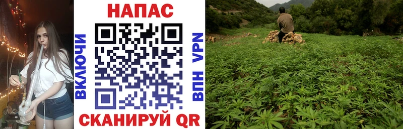 Каннабис Bruce Banner  магазин продажи наркотиков  Лихославль 